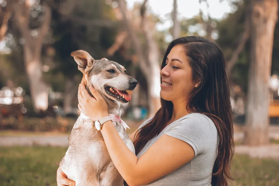Wie Du Stress bei Hunden erkennst und ihn abbaust
